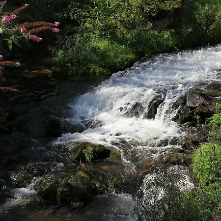 Maison De Plein Pied Au Coeur De La Nature